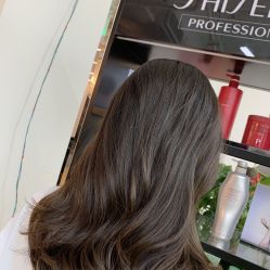 -BULB STUDIO 巴柏明星发型工作室