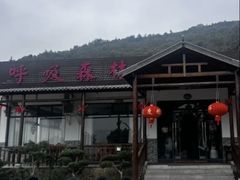 -呼吸森林·生态农庄农家乐私房菜