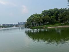 -顺峰山公园