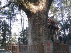 -安溪清水岩