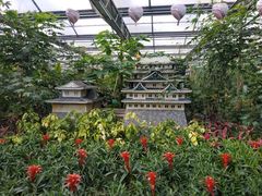 -南宫五洲植物乐园