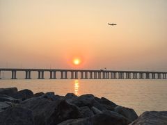 -宝安西湾红树林湿地公园