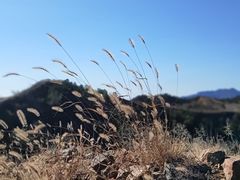-蟠龙山长城景区