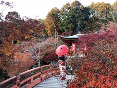 -醍醐寺