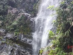 -鼎湖山风景区