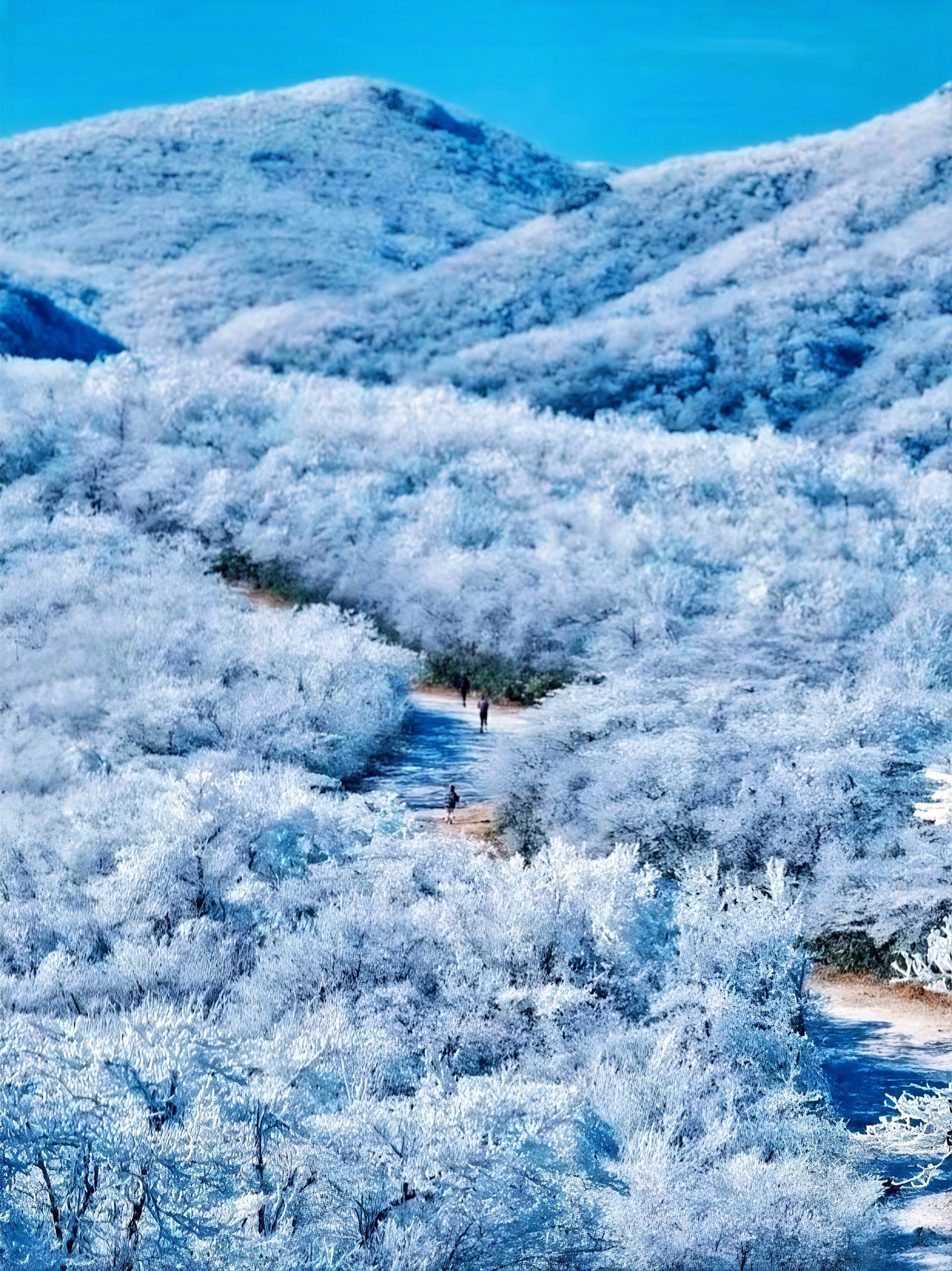 ❄️浙江龙王山间雪景,美到窒息