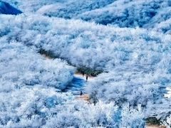 -湖州龙王山景区