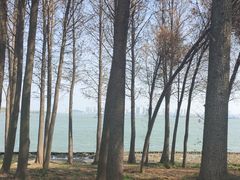 -贡湖湾湿地公园
