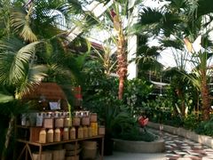 -红栌温泉山庄生态美食餐厅