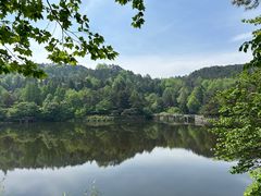 -庐山风景区花径公园