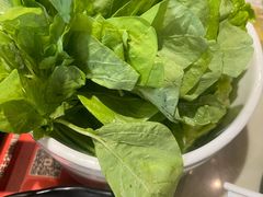 -潮牛海记•潮汕牛肉火锅•醉鸡煲•粿条汤(通北路店)