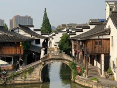 -鲁镇