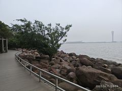 -上海吴淞炮台湾国家湿地公园