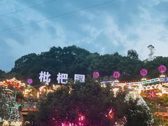 -枇杷园食为鲜火锅(南山店)