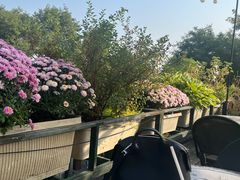 -北平花园·MUA摩造汉堡·北平咖啡(南锣鼓巷胡同店)