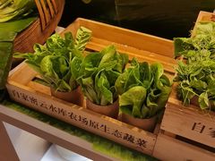 -第六季自助餐厅(北太平庄店)
