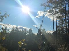 -莫尔道嘎国家森林公园