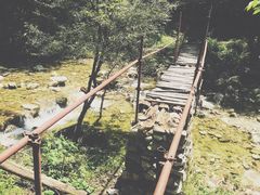 -牛背梁国家森林公园