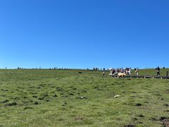 -芦芽山旅游度假区