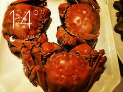 -上海古井假日酒店 · 徽昇楼中餐厅
