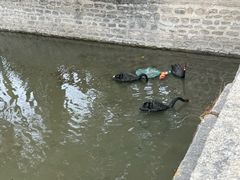 -罗布林卡
