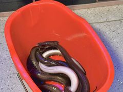 -狮子三•脆鳗鱼烤肉(信和廣場4樓店)