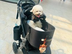 -斯普瑞斯奥特莱斯