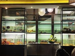 -甄御•海鲜新青岛菜(麦岛店)