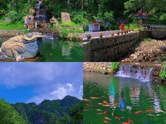 -大连天门山国家森林公园