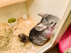 -龙猫仔乐园(惠福东路店)