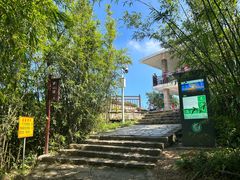-东莞市大岭山森林公园
