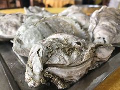 -蚝专家(北滘店)