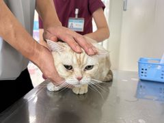 -美联众合动物医院·24h京西诊疗中心
