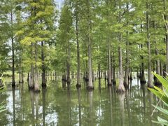 -白鹭湾湿地公园