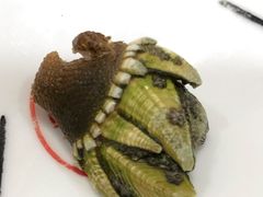 佛手螺-梅子大排档