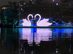 -三里屯东五街银杏大道