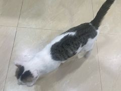 -玉椰林甜品店(创始店)