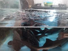 -忘情水鱼头·鲜鱼火锅(滨江中路店)