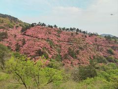 -木兰云雾山