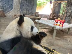 -海南热带野生动植物园