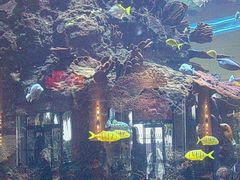 -长隆横琴湾酒店(珠海旗舰店)