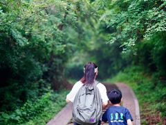 -青龙山国家森林公园