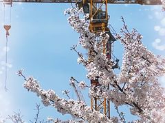 -龙美术馆(西岸馆)