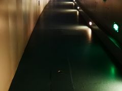 -白鹤梁水下博物馆