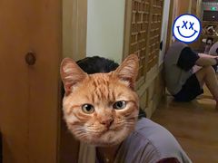 -纽斯桑拿会所(天山店)