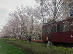 -新天地活力PARK