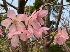 -龙环葡韵住宅式博物馆