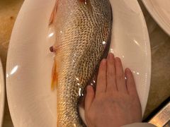 -宁海食府·涌宴(真和店)