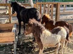 -水上乐园·欢乐世界