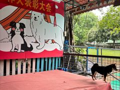 -良成狗狗乐园